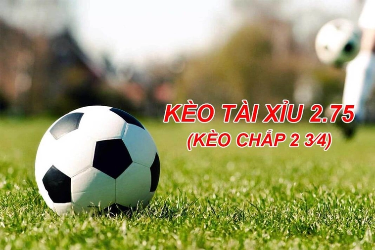 Tìm Hiểu Cách Chơi Kèo 2.75 Đỉnh Cao Từ Chuyên Gia